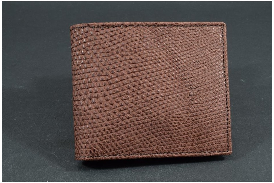 FIRENZE 112 - LIZARD - BROWN