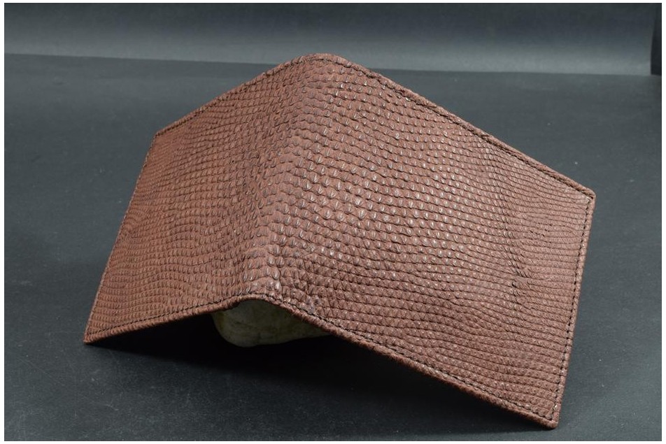 FIRENZE 112 - LIZARD - BROWN