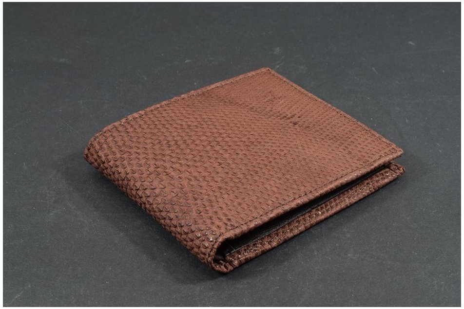 FIRENZE 112 - LIZARD - BROWN