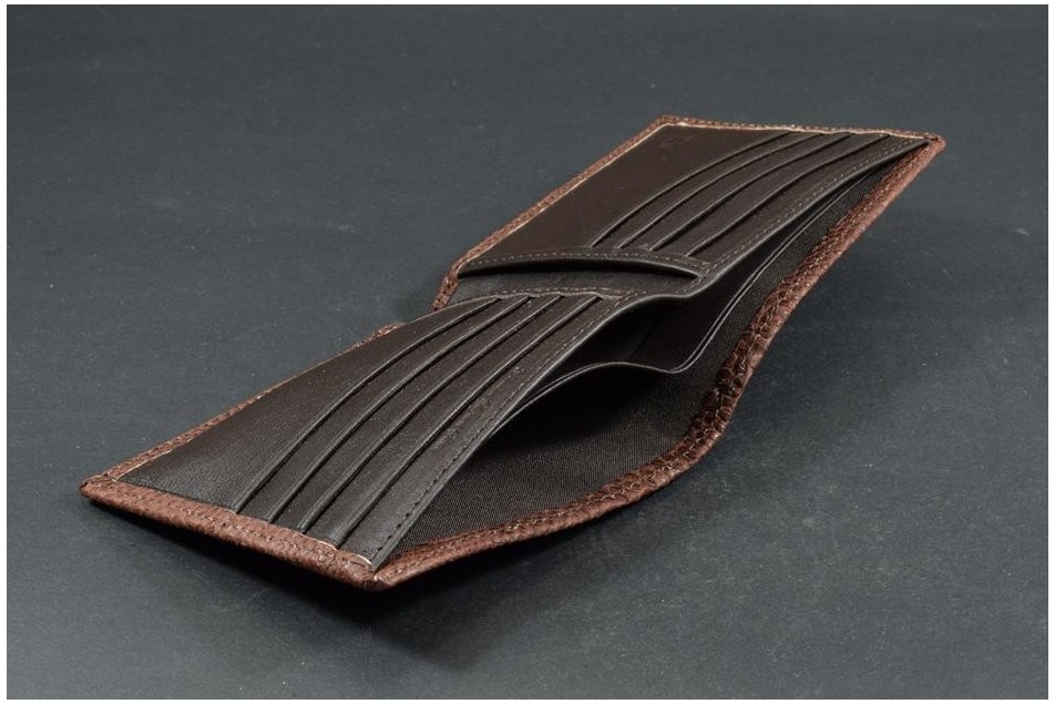 FIRENZE 112 - LIZARD - BROWN