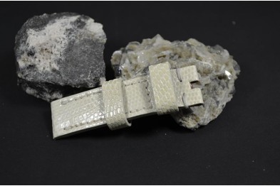 39 LIZARD - CREAM 20/20  130/80 MM