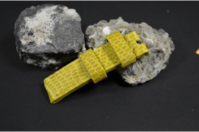 44 LIZARD - YELLOW 20/20  130/80 MM