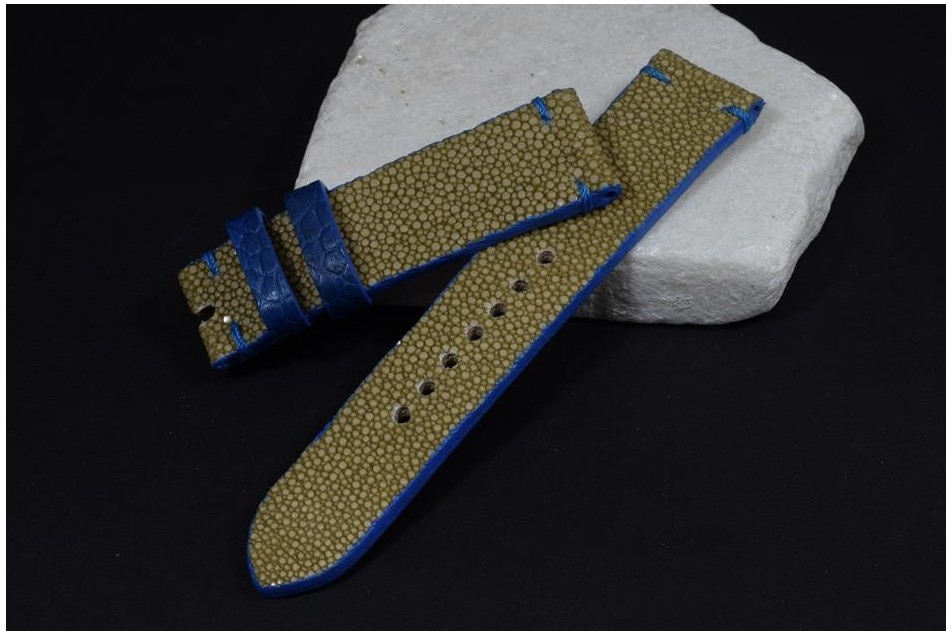 110 PEZ RAYA - BEIS AZUL  22/20  130/80 MM