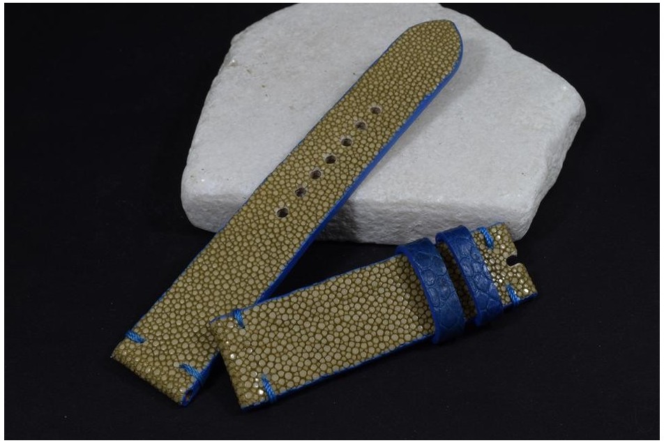 110 PEZ RAYA - BEIS AZUL  22/20  130/80 MM