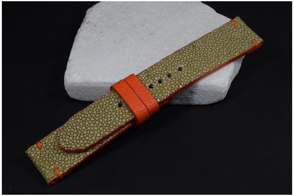 109 PEZ RAYA - BEIS NARANJA 22/20  130/80 MM