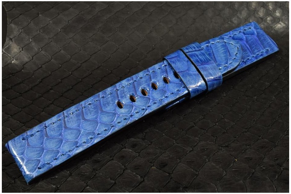 117 AYERS SNAKE - BLUE  22/22  130/80 MM