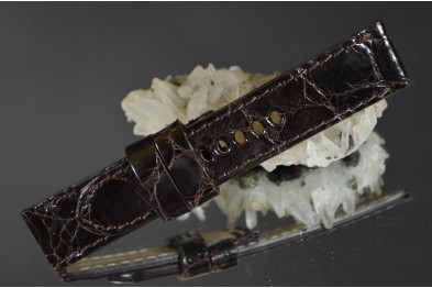 168 ALLIGATOR - BRAUN  24/22  115/75 MM D