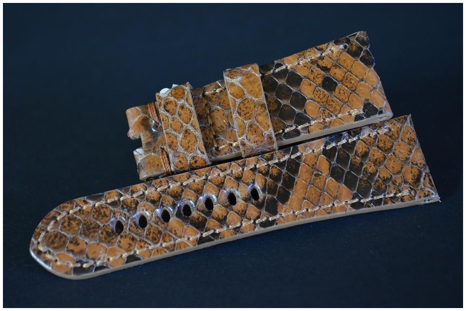 172 PYTHON - BRAUN HONIG 26/22  115/75 MM D
