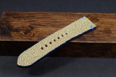 191 STINGRAY - BEIGE BLUE 24/22 115/75 MM