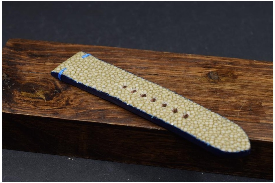 191 STINGRAY - BEIGE BLUE 24/22 115/75 MM