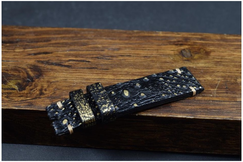 204 KRÖTE - SCHWARZ GOLD 18/18 130/80 MM