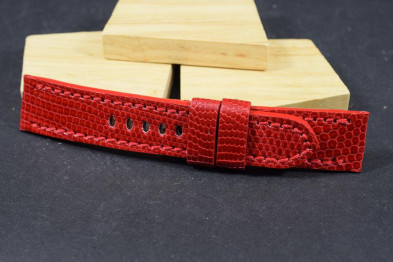 254 LIZARD - RED  22/20  115/75 MM