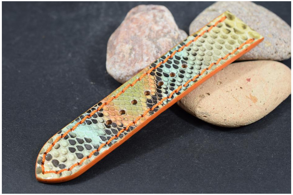 263 PYTHON - FANTASIA 1 - 22/22 - 115/75 MM