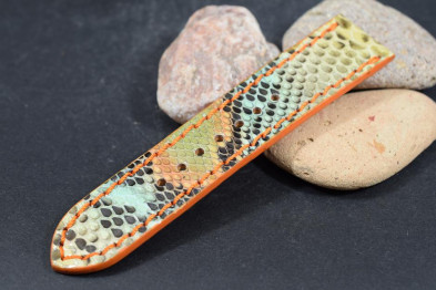 263 PYTHON - FANTASIA 1 - 22/22 - 115/75 MM