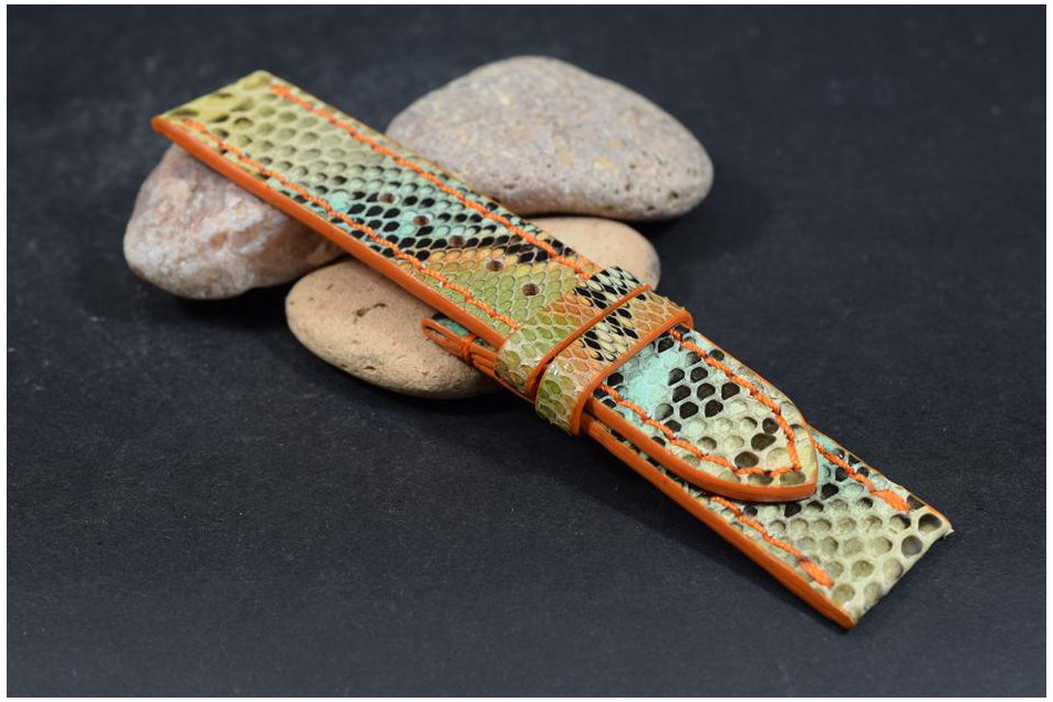 263 PYTHON - FANTASIA 1 - 22/22 - 115/75 MM