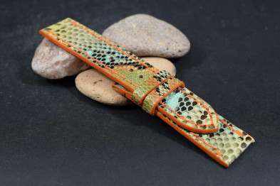 263 PYTHON - FANTASIA 1 - 22/22 - 115/75 MM