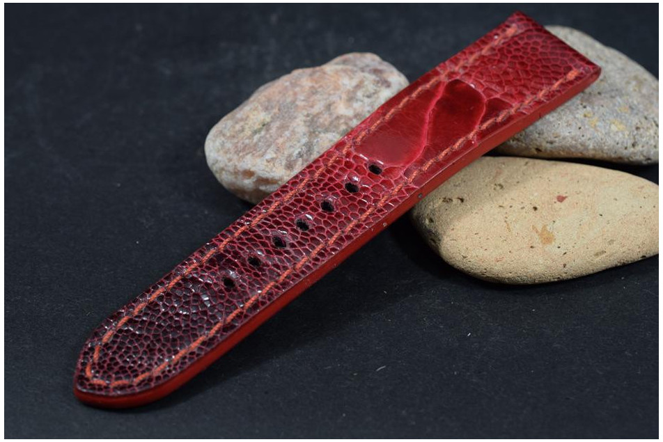 269 STRAUSSENBEIN - ROT  24/22  130/80 MM