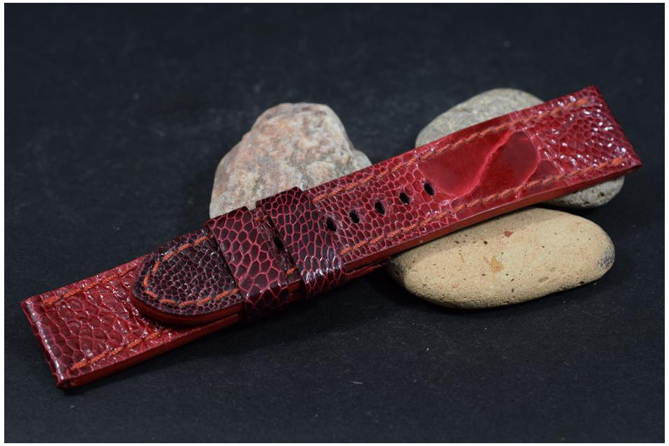 269 STRAUSSENBEIN - ROT  24/22  130/80 MM
