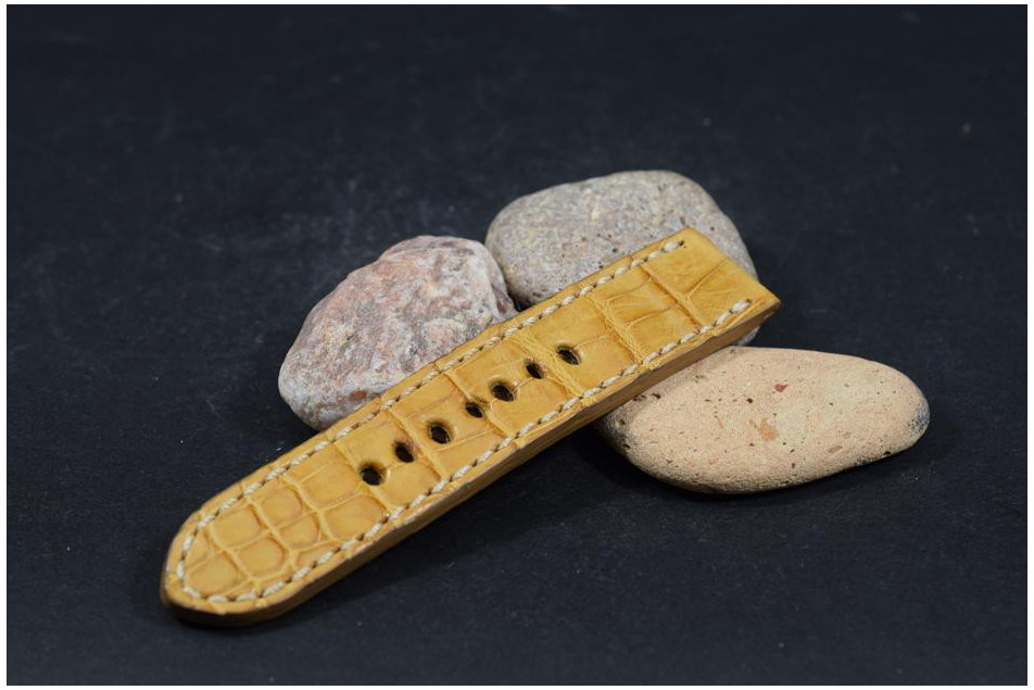 270 ALIGATOR - BROWN CAMEL   22/22  115/75 MM