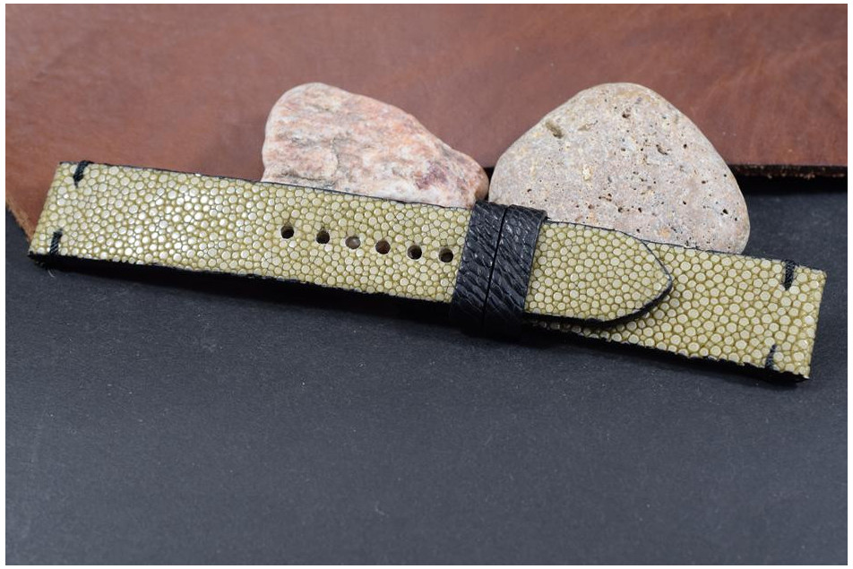 282  STINGRAY - BEIGE BLACK 22/20 130/80 MM