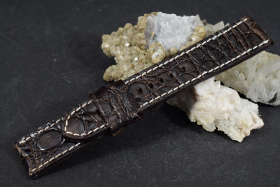 320 KROKODIL - BRAUN II  24/22 130/80 MM