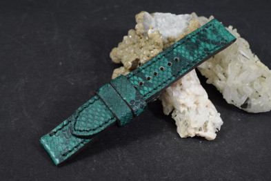 325 PHYTON - GREEN  20/20  115/75 MM