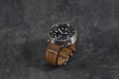 CORIUM 4 - ZEDER BRAUN