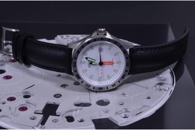 CALF - NEGRO I - ALOMADA